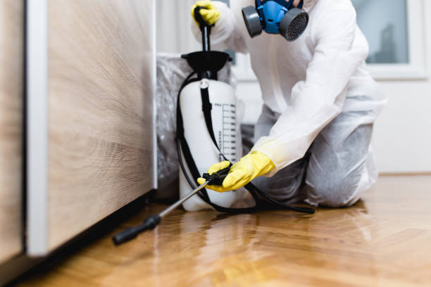 Best Best Pest Control Companies  in Wyoming, PA