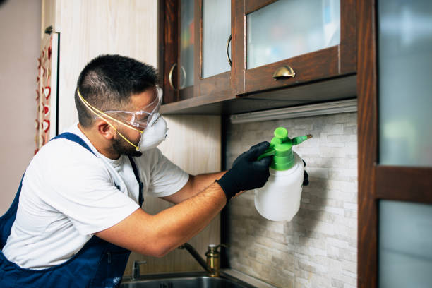Best Local Pest Control Services  in Wyoming, PA