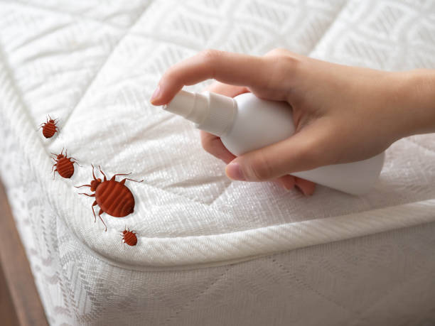 Best Bed Bug Extermination  in Wyoming, PA